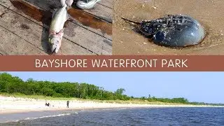 Bayshore Waterfront Park (06-02-2019)