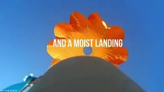 White Wolf Flights