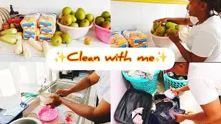 Back Home Reset 🧺🧼 | Cleaning, Small Shopping & Village Unboxing