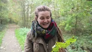 What the Heck?! with Jess Episode 3 Tar Spot Fungus