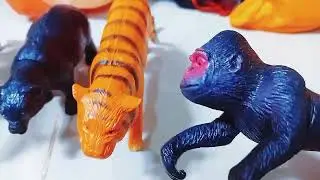 Animals Name Learning Video for Kids 🐾 Fun & Colorful