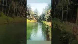 Memories of 2025.... #carnival#goa#carnivalcruise#shorts #viral#shortvideo #viralvideo#youtubeshorts