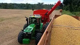 Sabadão bruto nois no pega do grão de ouro .agro mt