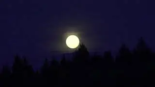 WHY I LOVE THE MOON Lyrics by phony ppl