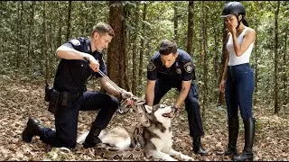 Courage in the Wild: A Young Woman and the Police Save Her Dog from a Giant Python