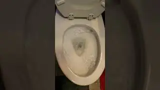 20191219 143340 Toto Drake Dual Flush Toilet