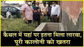 कैथल में यहां पर इतना मिला लारवा, पूरी कालोनी को कर सकता है बीमार