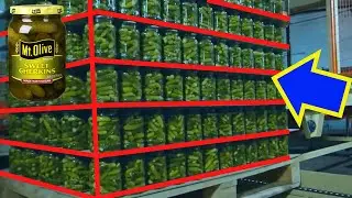 How are Pickles Made? Pickle Factory Processing? How Pickle is Made. How are pickles manufactured?