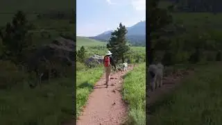 🏞️Hiking the Colorado foothills  in 📍Eldorado Springs #colorado #nature #hiking #hikingwithdogs