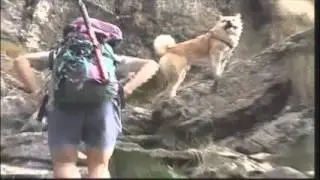 VALCHIUSELLA COSE MAI VISTE
