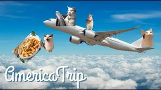 America trip || Cats family || Part - 1 || America trip compilation Part 1