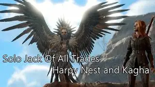 Solo Jack Of All Trades Harpies And Shadow Druids HM Part 3