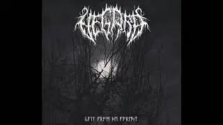 Vegard - Call From The Forest [Full E.P]