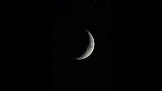 مزاد قمرالشرق