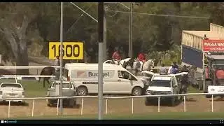 Race 3-Wagga-Australia-15 Jan 2025