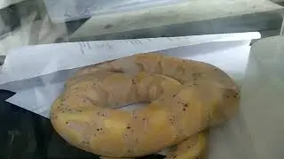 ULAR KUNING