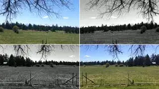 Country living in Bend Oregon