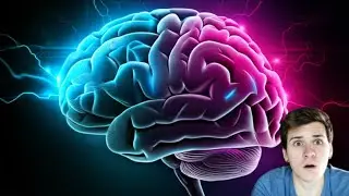 Do We Really Use Only 10% of Our Brain?