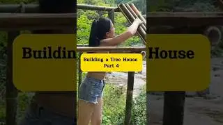 Building a Tree House Part 4 #diytreehouse #kdmsociety #naturebuild