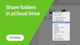 How to share folders with pCloud Drive
