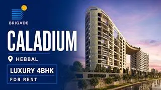 Brigade Caladium | Luxury Apartment for Rent ☎️ +91 99001 42491
