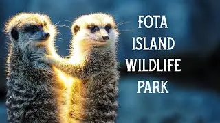 Fota Island Wildlife Park, Cork