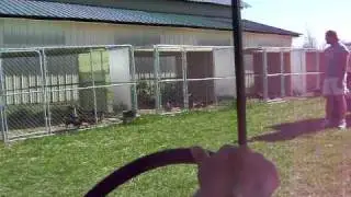 JC69