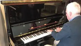 Bosendorfer upright 130 CL - Royal Pianos