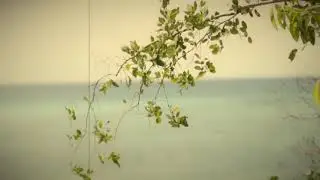 Retro Vibes | Cinematic Video
