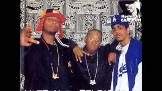 Purple City Productions: Shiest Bubz - The Hood's Purple