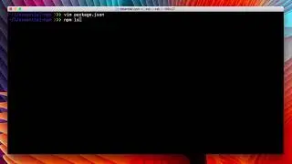 essential npm 12