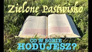 Zielone Pastwisko 30.01.2026 „CO W SOBIE HODUJESZ?” [# 2413] 2 Sm 11, 1-4a. 5-10a.13-17; Mk 4, 26-34