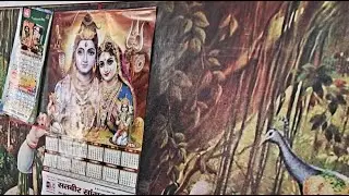 radhey shyam ji milk collection and fast food #Krishna Dairy Farm Paju Kalan  is live