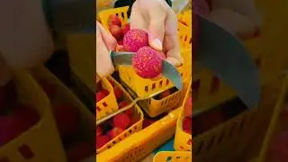 lychee fruit cutting🍓🍇#shorts #fruit#fruitcutting #youtubeshorts#satisfying #ytshorts#funny#music