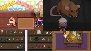 Graal Online era-How to do Wizard Quest | House Update | Wizard Shop