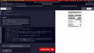 Learn Typography by Building a Nutrition Label - Step 55 #freecodecamp #learncss #typography #label