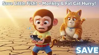 🐵🐱 Monkey & Fat Cat Rescue Young Catfish from Drought Pond 🐟☀️ and Make Water Flow Again 💧🌈