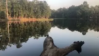 Beautiful forest reflection in Lake twenty Thousand, Chitwan 