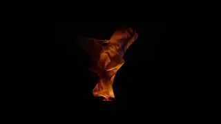 fulgeance - she knew (slowed + reverb)
