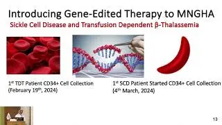 08 Gene - edited Therapy Saudi Experience in TDT and SCD | Dr. Mohammed Essa | 13 Sept 2024