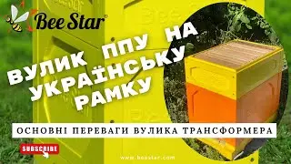 ППУ вулик на УКРАЇНСЬКУ РАМКУ. Вулик українець. Вулик трансформер
