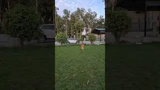 Running Cute Baby #running #cutebaby #love #games #video #viralvideo #shorts #adventure #gaming