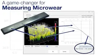 60-Second Surface Analysis - Microwear Analysis
