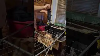 Вешаю бельё 