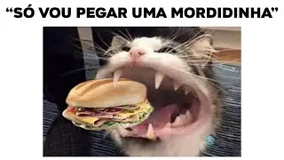 MEMES EM IMAGENS - COMPILADO DO TIO GENIO #17