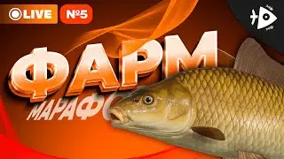РР4 • НЕДЕЛЬНЫЙ МАРАФОН • ДЕНЬ ПЯТЫЙ • РУССКАЯ РЫБАЛКА 4 • МЕДНОЕ ОЗЕРО
