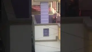 Even birds commit suicide