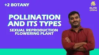 POLLINATION AND ITS TYPES