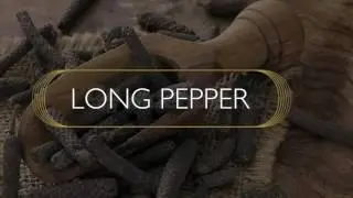 Buy Long Pepper | Australian Peppercorns