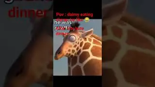 @mia_is_sad @Daisy_soda @stella_goodkawaiicat  New video when daimy eats dinner b&eacute; lik&eacute;😂